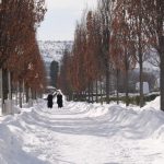 snijeg 2012 (4)