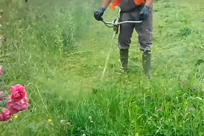 Oprez: Zmije i krpelji vrebaju iz prirode