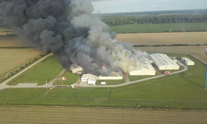 U Vinkovcima izgorjela farma s preko tisuću tovnih praščića