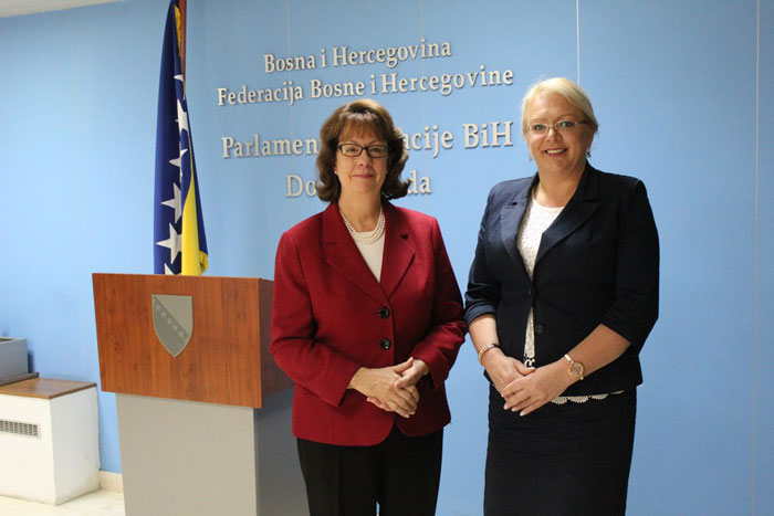 Bradara i Cormack o izbornim reformama