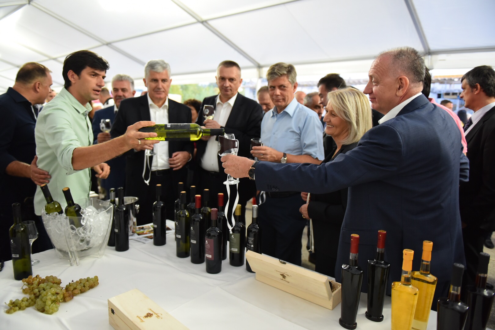 FOTO: Brotnjo, najveće vinogorje u BiH, treba nastaviti razvijati