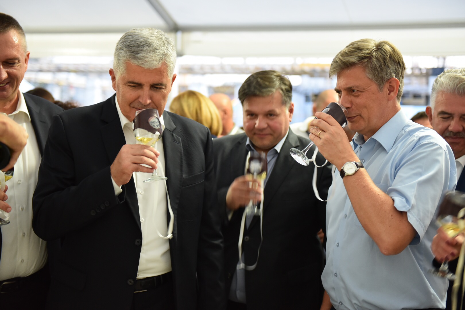 FOTO: Brotnjo, najveće vinogorje u BiH, treba nastaviti razvijati