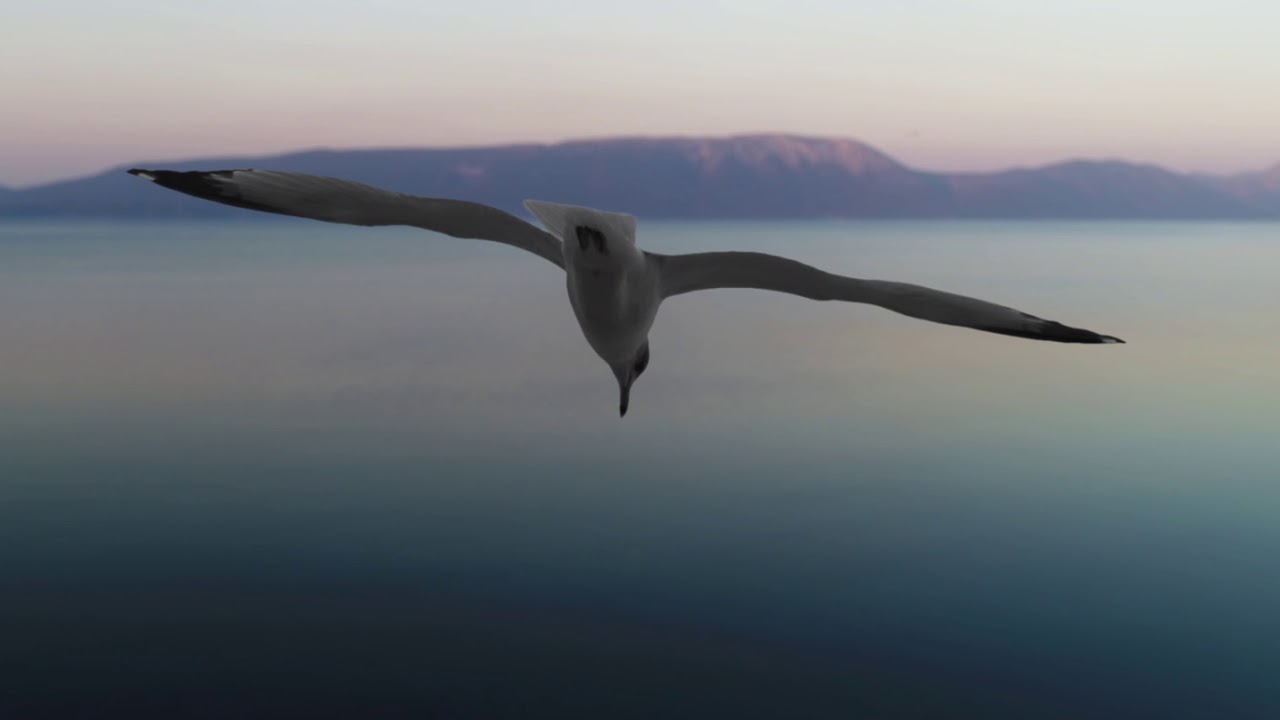 Nova pjesma i spot fra Marina Karačića – pred Tvojim Imenom