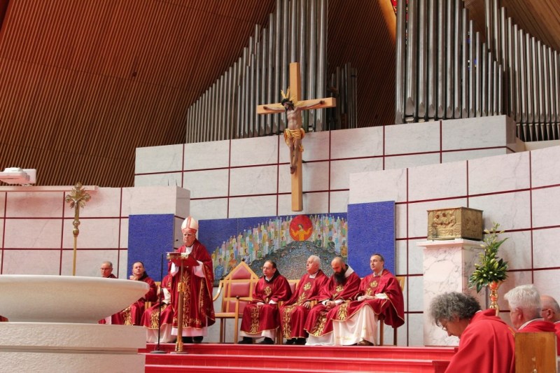 Fra Dragan Bolčić iz Međugorja zaređen za svećenika