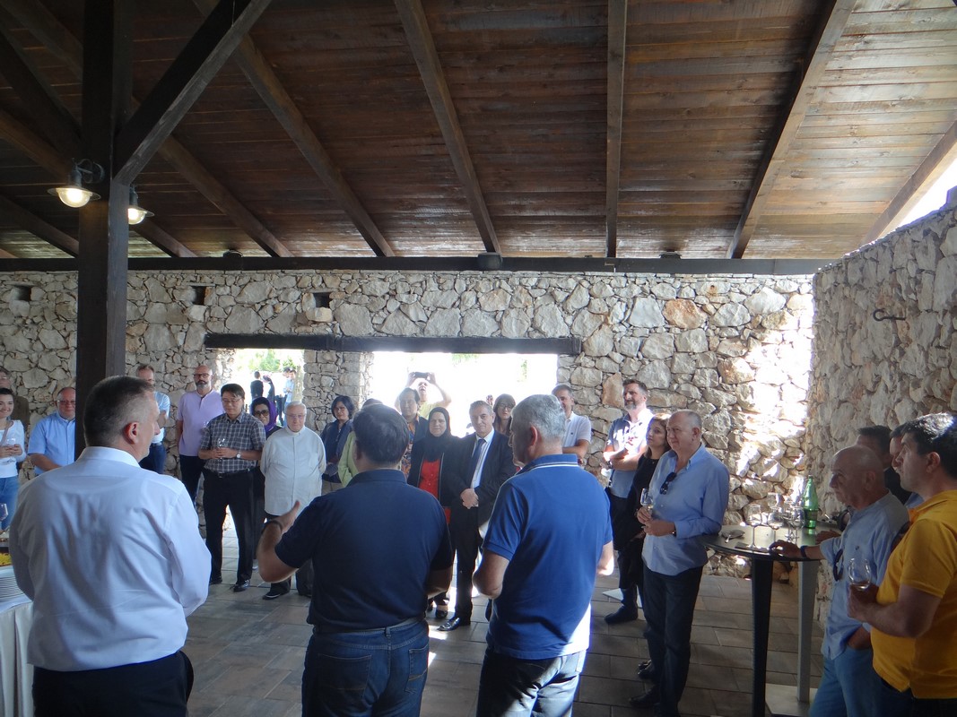 FOTO: Članovi diplomatskog zbora na Danima berbe grožđa u Brotnju