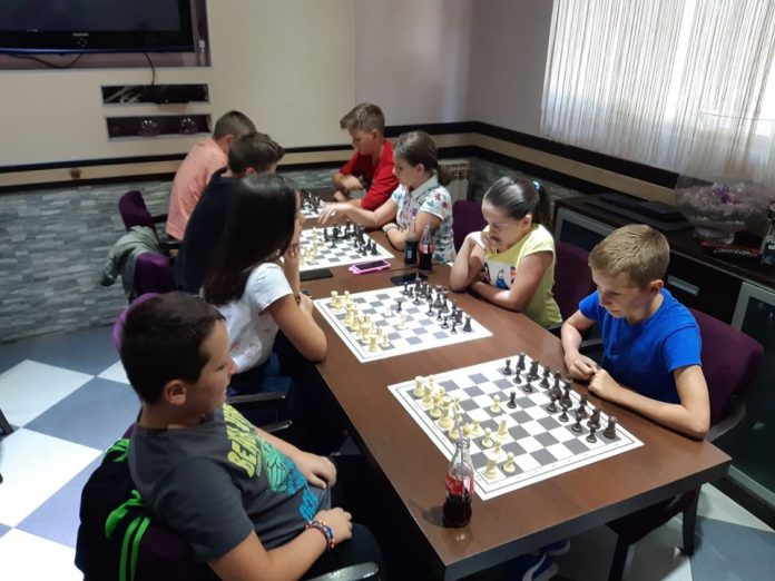 Povodom “Dana berbe grožđa” odigrani seniorski i kadetski šahovski turniri