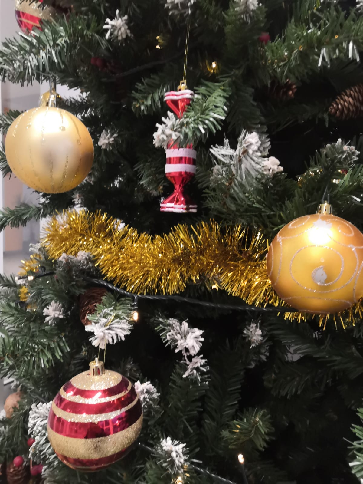 Pogledajte kako su učenice ukrasile prostorije Srednje škole dr. fra Slavka Barbarića u Čitluku