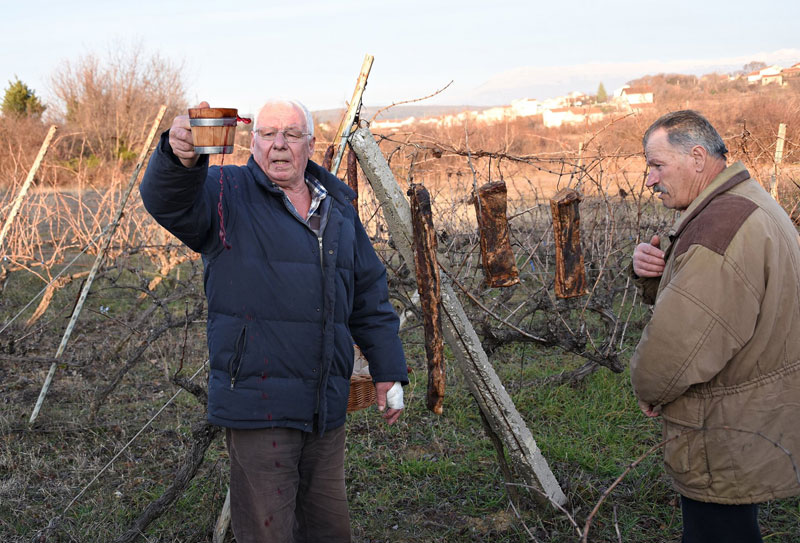 Krehin Gradac: Na blagdan sv. Vinka obilježen početak rezidbe vinove loze
