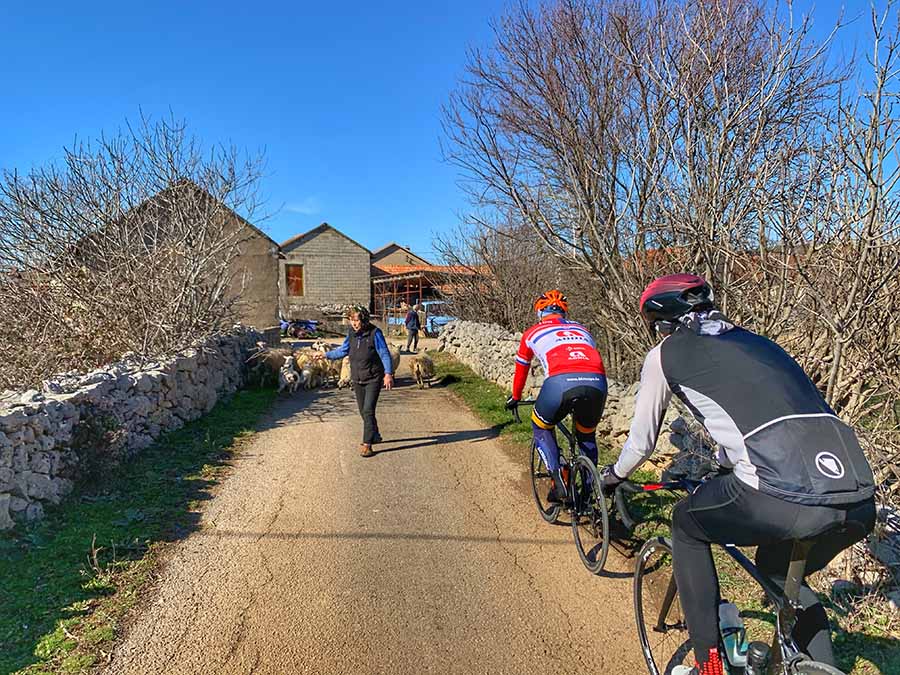 VIDEO: Hercegovina vas poziva na “Franciskanu”