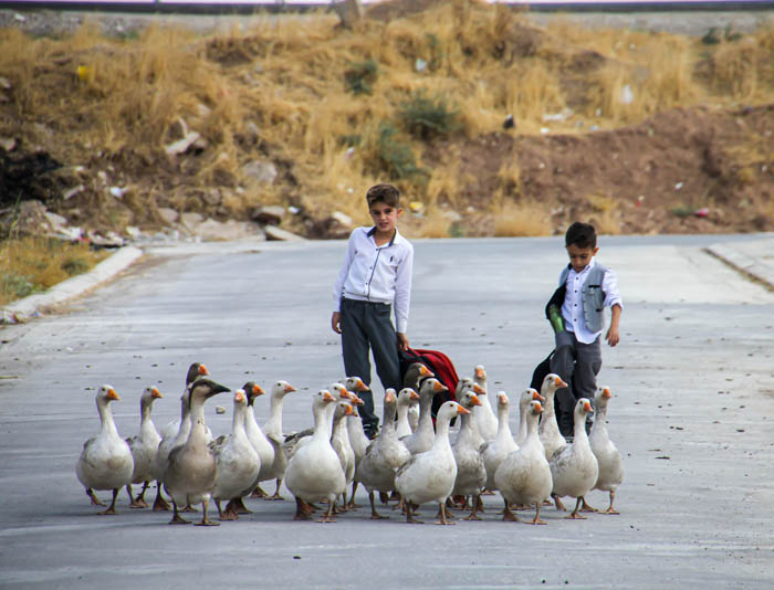 [FOTO-VIDEO] Putopis: U zemlji Kurda