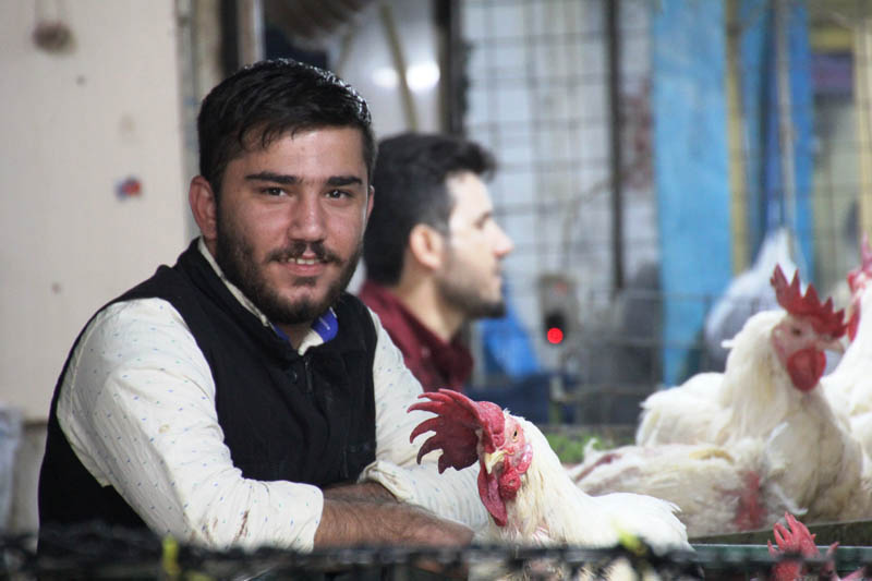 [FOTO-VIDEO] Putopis: U zemlji Kurda