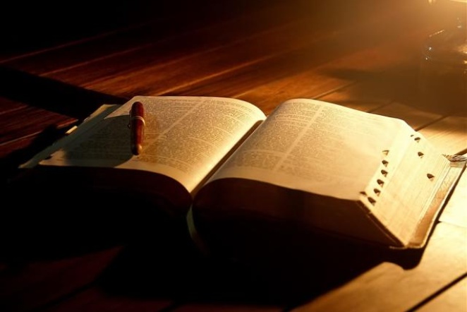 Fra Miljenko Mića Stojić: Naša lica