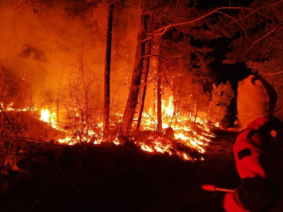 Požar u Čalićima u jednom trenutku zaprijetio obiteljskim kućama