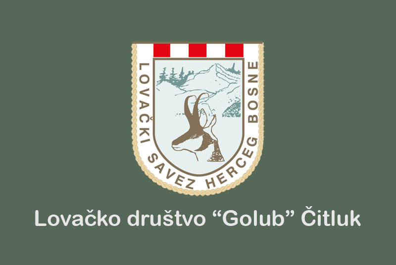 VAŽNA OBAVIJEST! Lovačko društvo Golub Čitluk ujutro se uključuje u potragu za nestalim Jurom Peharom
