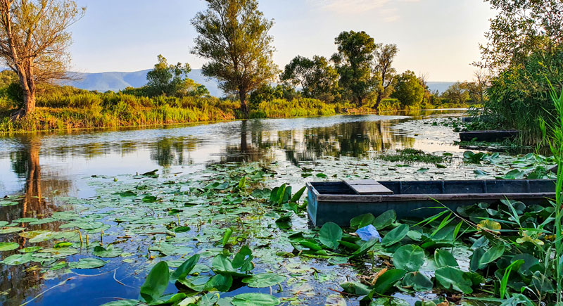 Birdwatching najbrže rastuća grana turizma najveći potencijal ima u Parku prirode Hutovo blato