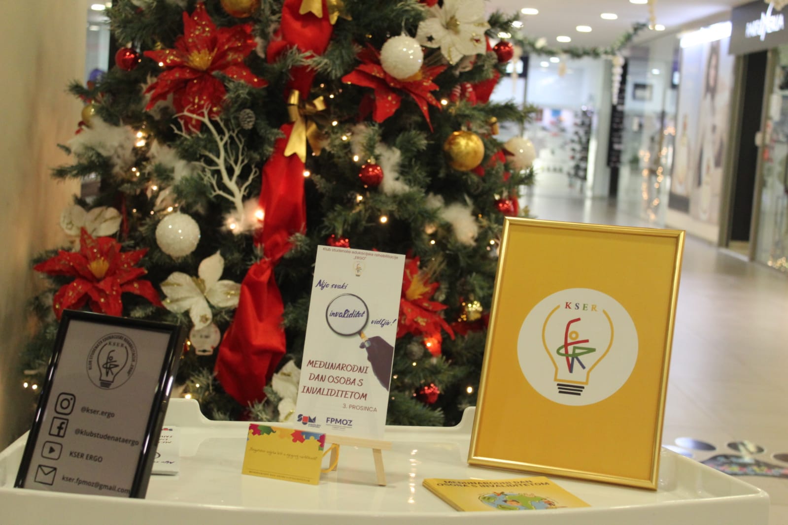 FOTO: U organizaciji Kluba studenata edukacijske rehabilitacije „ERGO“ i u Čitluku obilježen Međunarodni dan osoba s invaliditetom