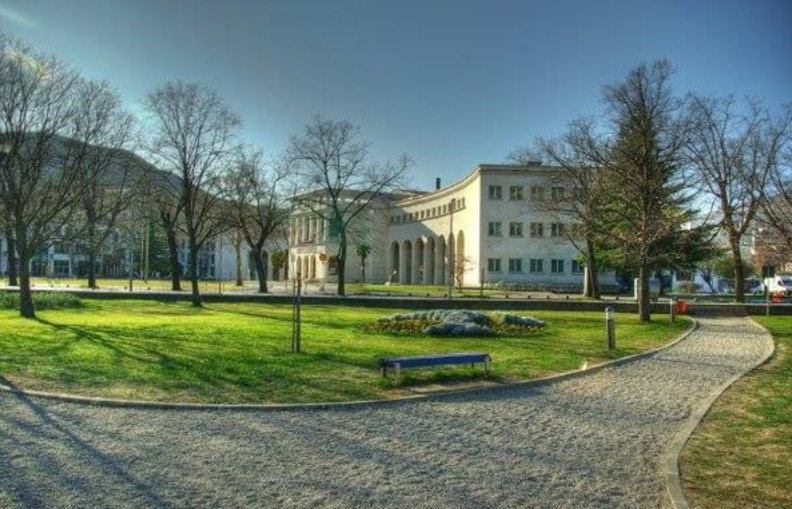 Opstruiranje izbora gradonačelnika je šamar Mostarcima