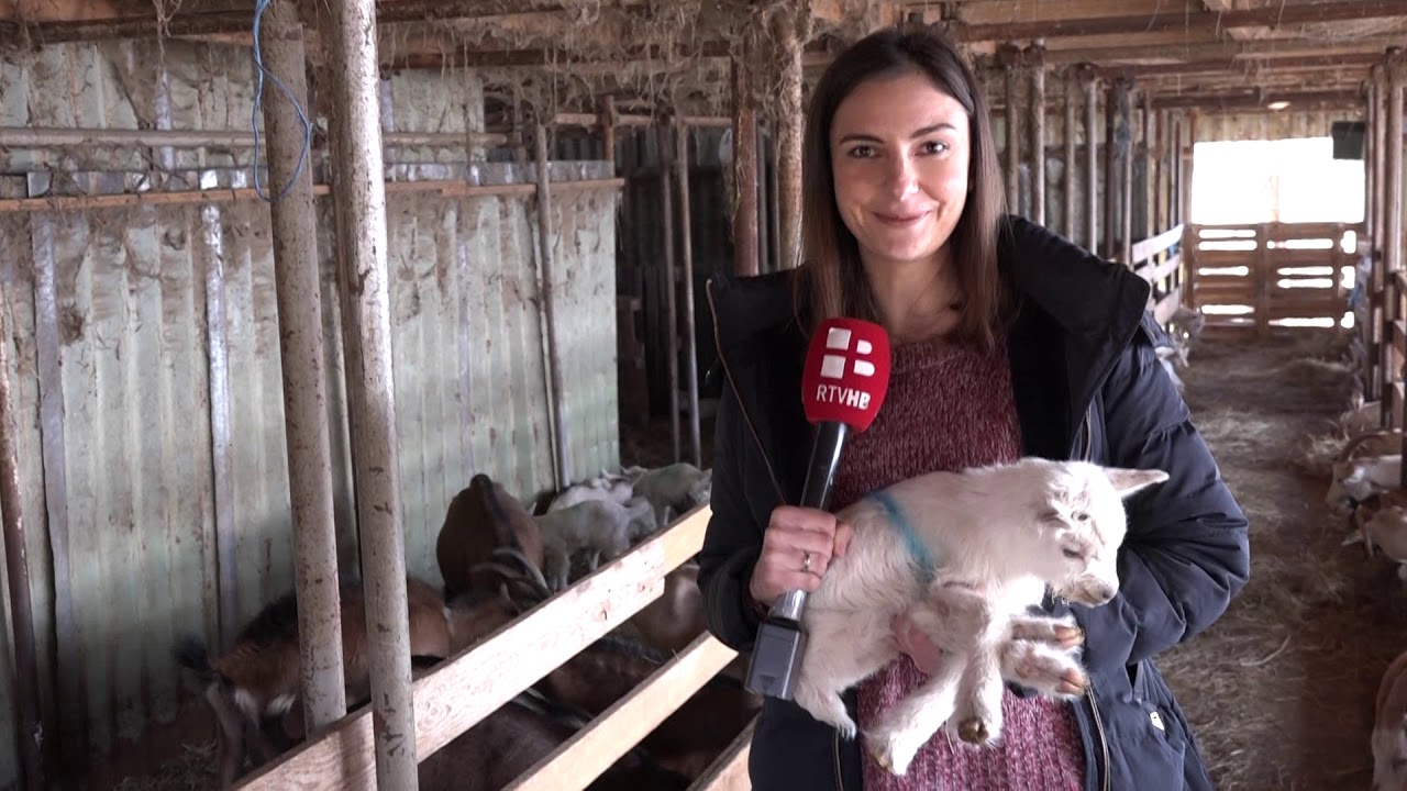 VIDEO Kozarstvo – potencijal Hercegovine