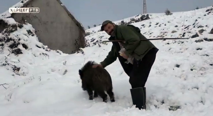 VIDEO Hercegovina zemlja čudesa: Slavkov kućni ljubimac je divlji vepar