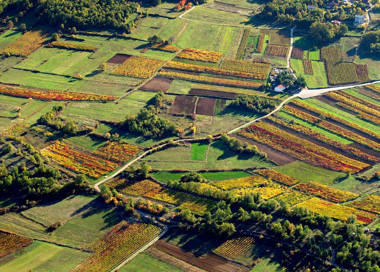 Kako se upisati u Registar poljoprivrednih gospodarstva