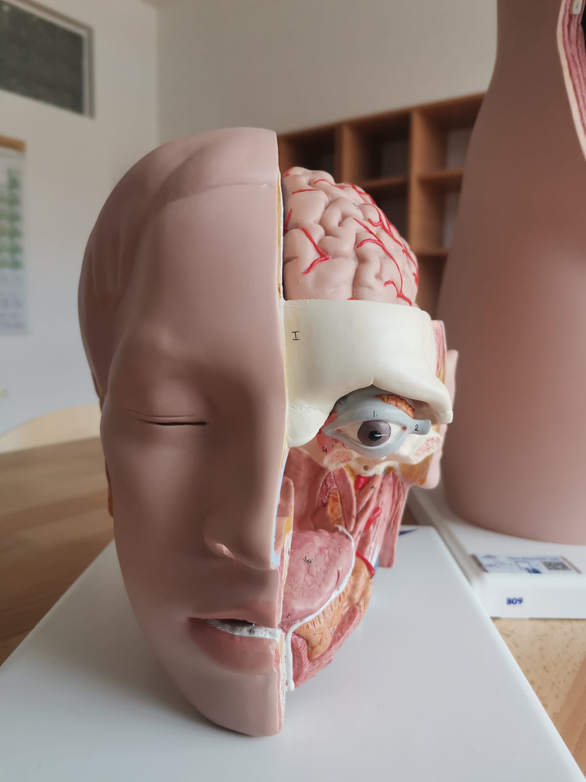 FOTO-VIDEO: Opremljen STE(A)M laboratorij u Srednjoj školi dr. fra Slavka Barbarića u Čitluku