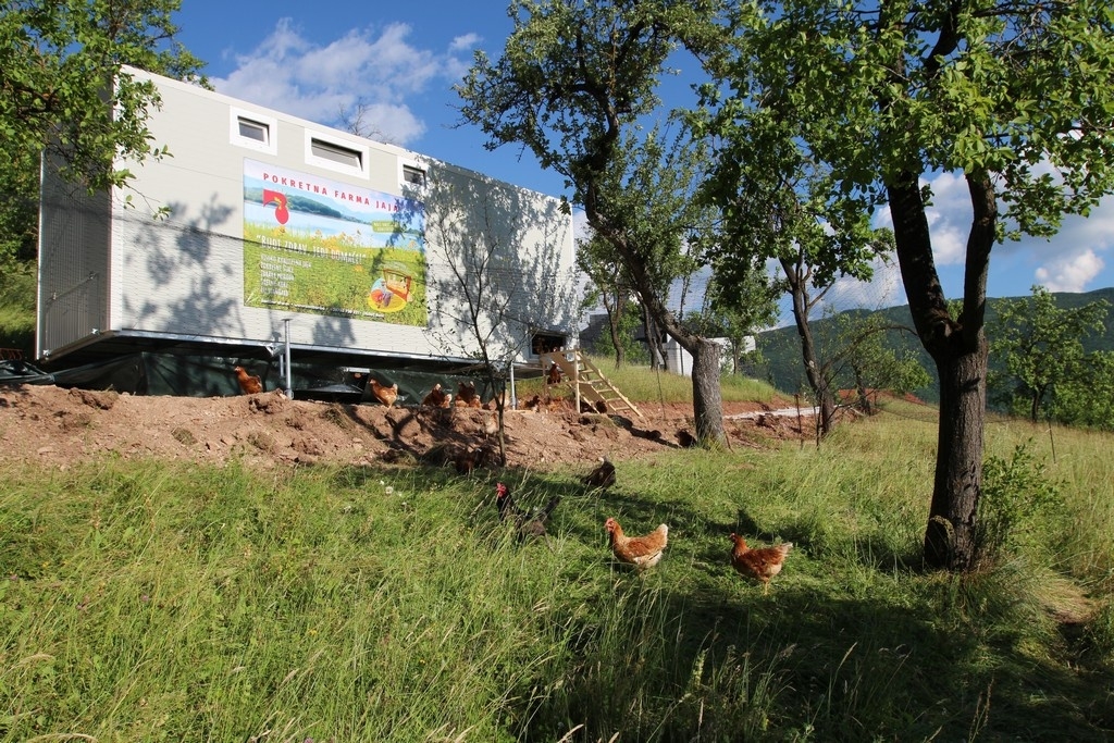 FOTO-VIDEO: Borići donijeli novitet u Ramu – slobodnim uzgojem koka proizvode zdrava jaja