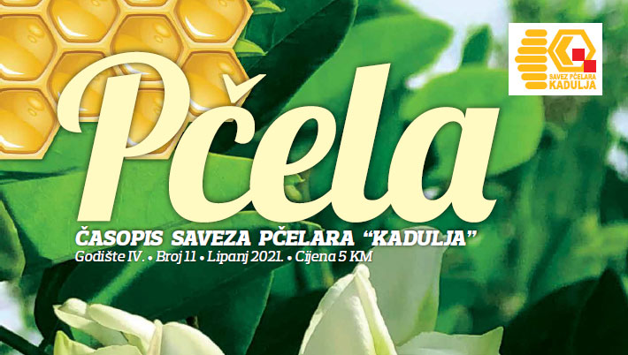 Preuzmite i čitajte: Iz tiska izašao novi broj “Pčele”