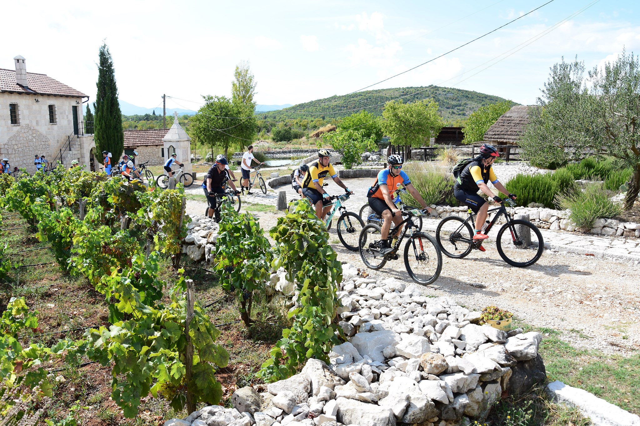 Biciklisti oduševljeni turom „Biciklom kroz vinograde i podrume Brotnja“