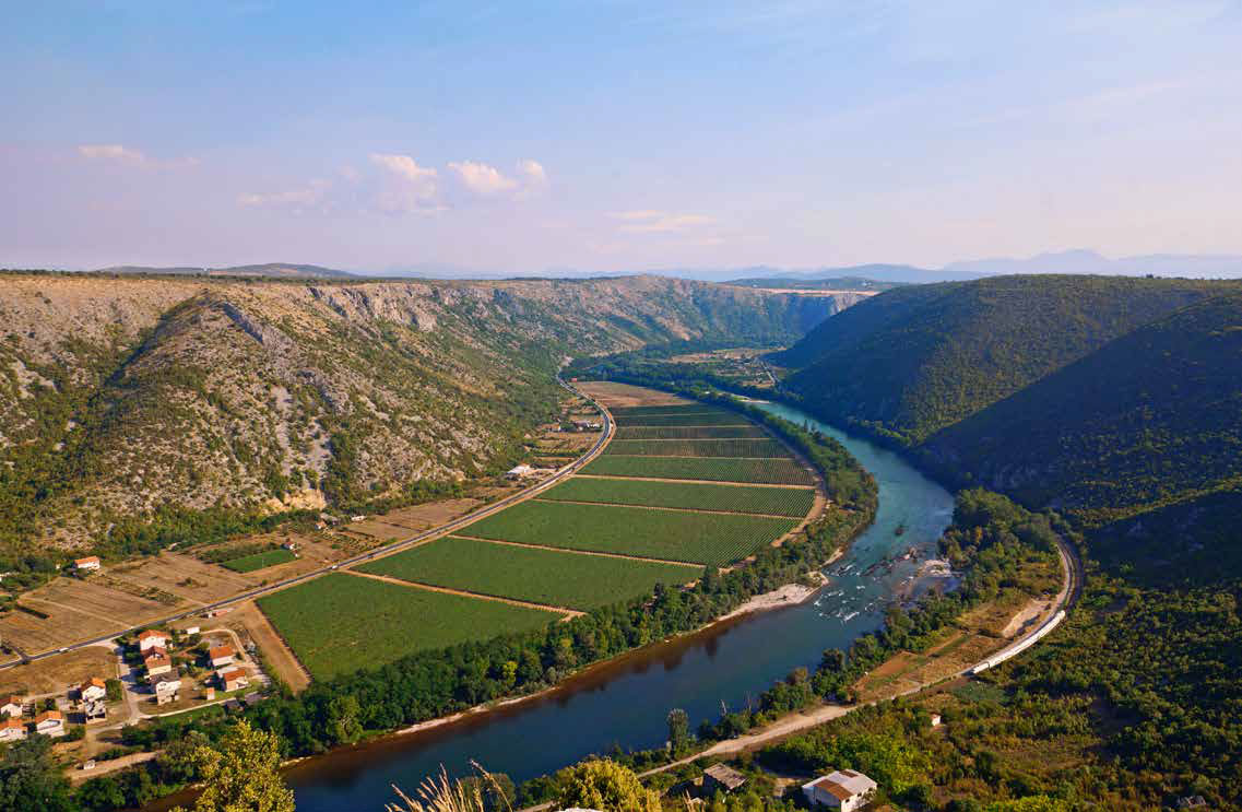 Misli jednog malog hercegovačkog vinogradara i podrumara