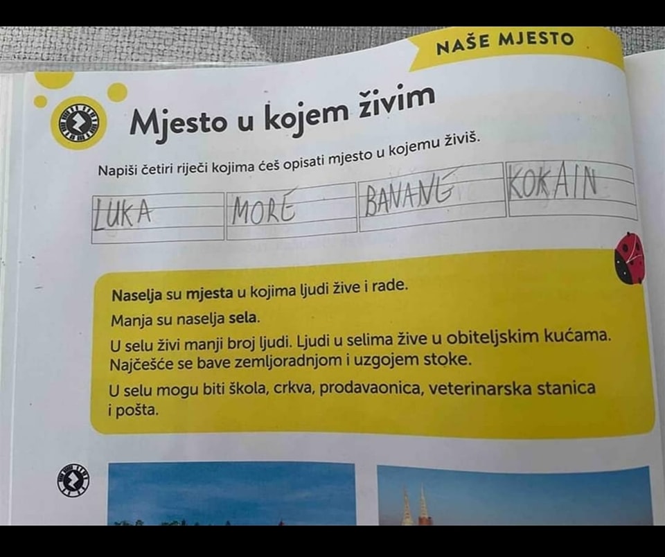 Malac prešao igricu: Pogledajte kako je opisao mjesto u kojem živi