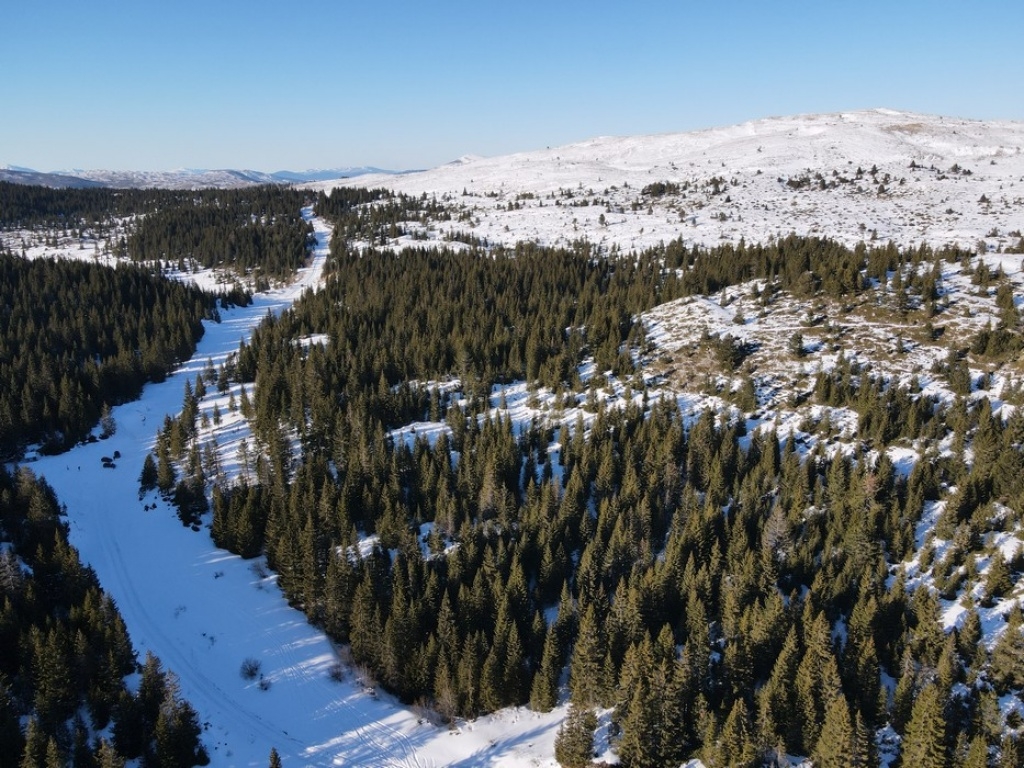 VIDEO Zimska idila na Vran planini i Kedžari