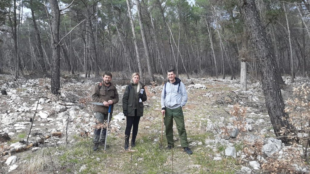 FOTO: Sanacija požarišta na području Općine Čitluk