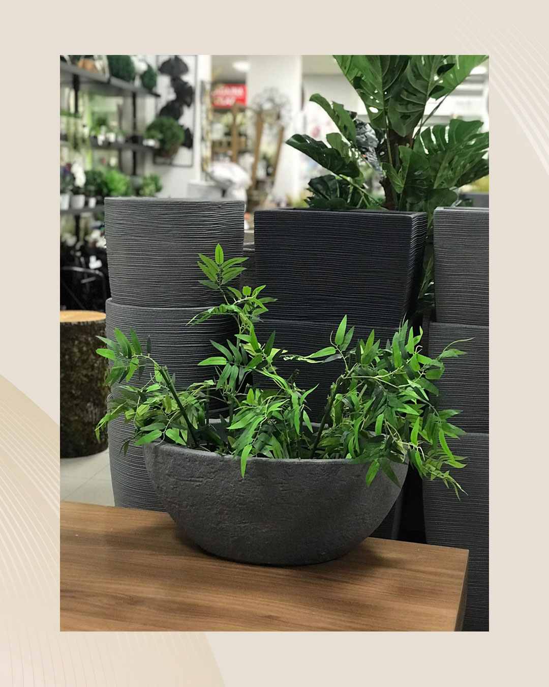 Gdje pronaći savršene saksije za uređenje vaše terase?