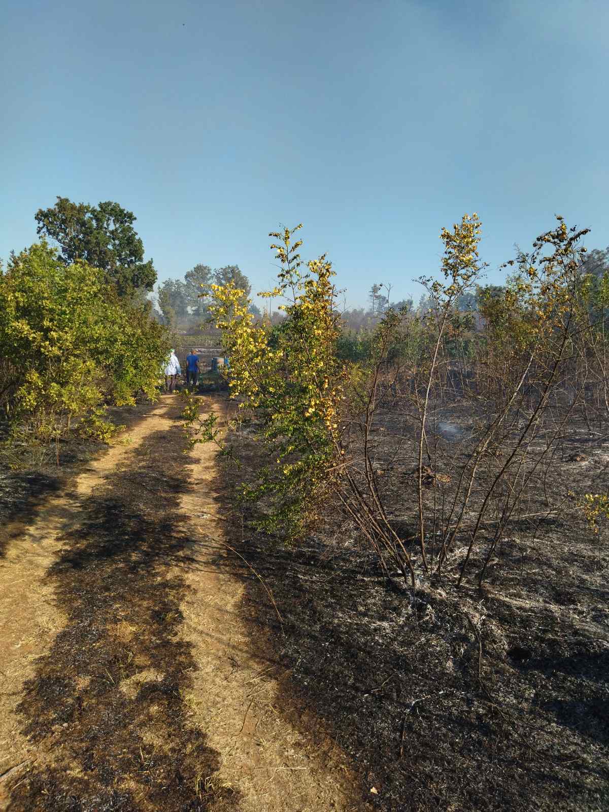 Požar u Blizancima i dalje aktivan