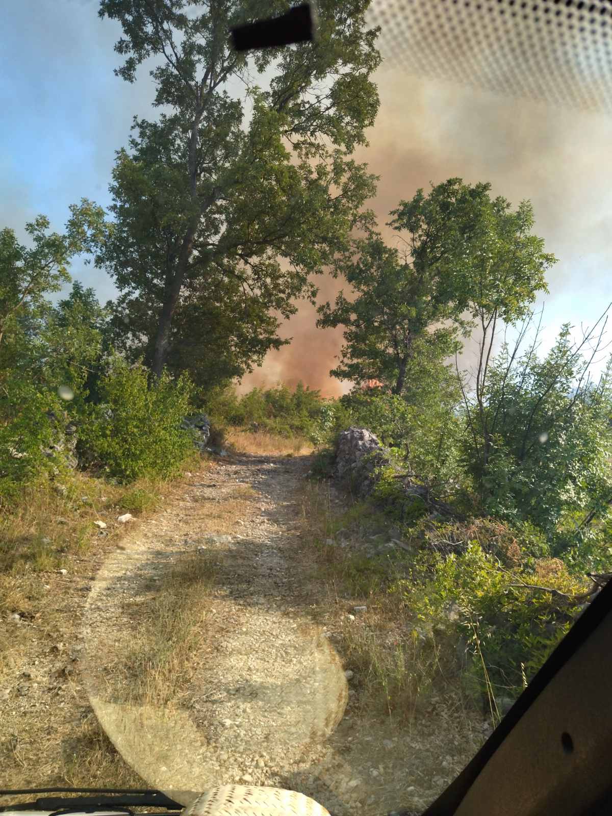 Požar u Blizancima i dalje aktivan