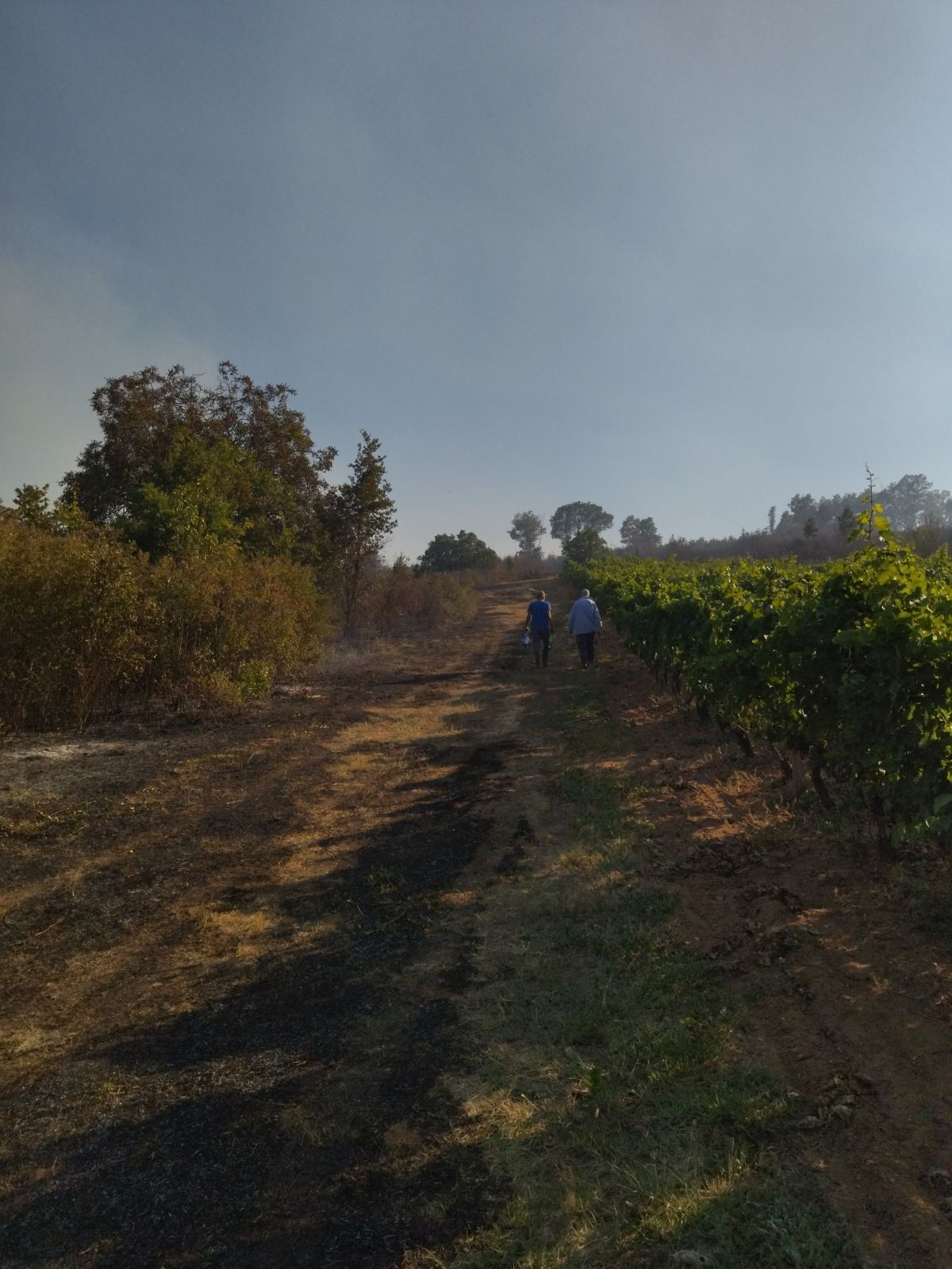 Požar u Blizancima i dalje aktivan