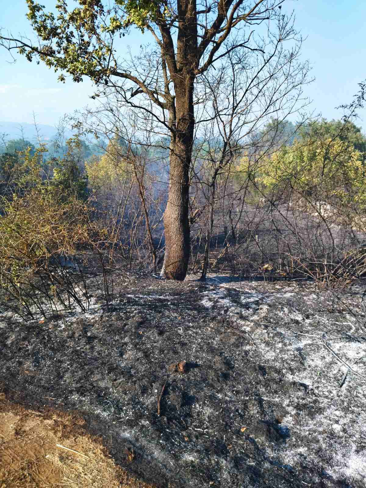 Požar u Blizancima i dalje aktivan