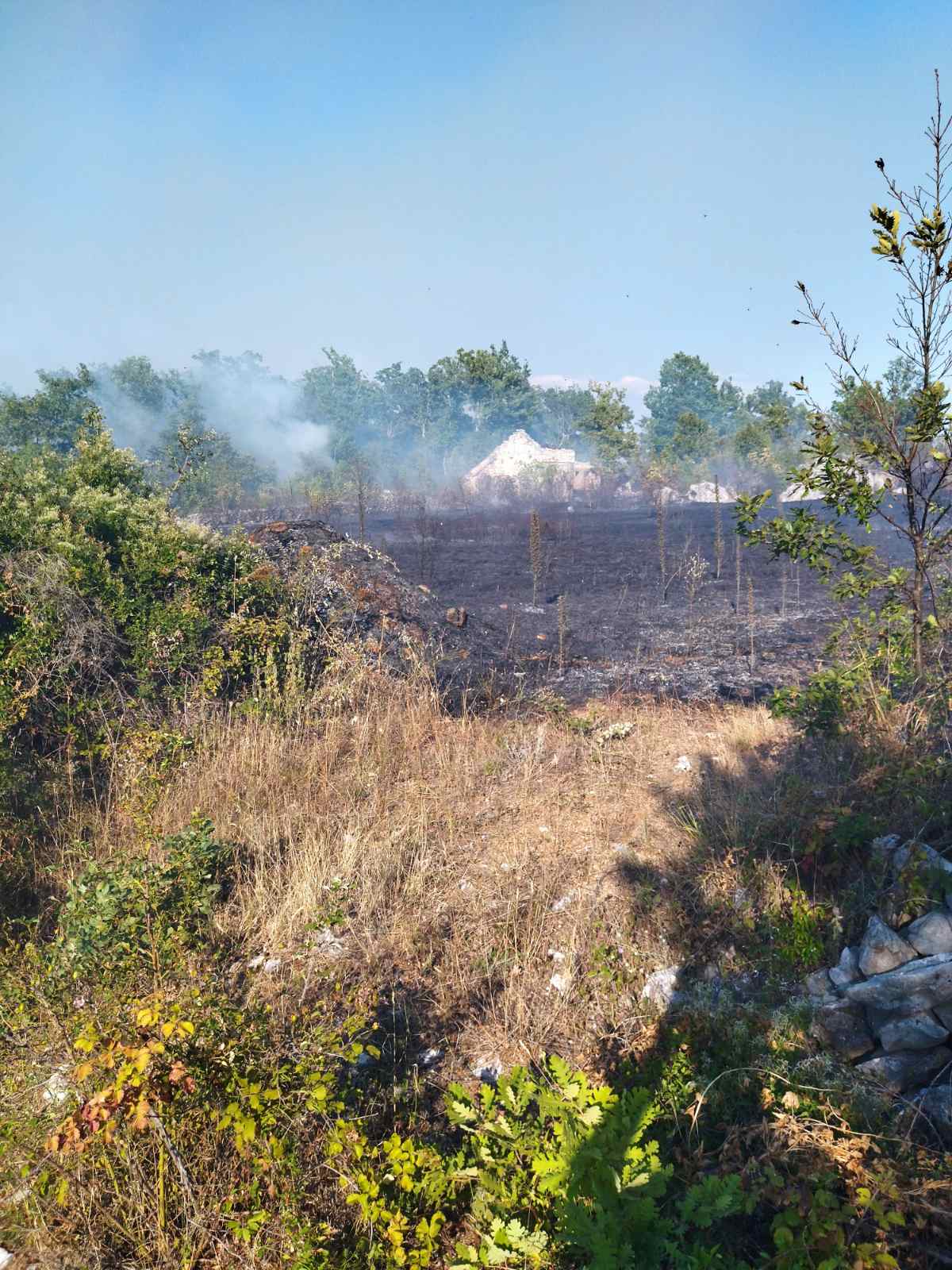 Požar u Blizancima i dalje aktivan
