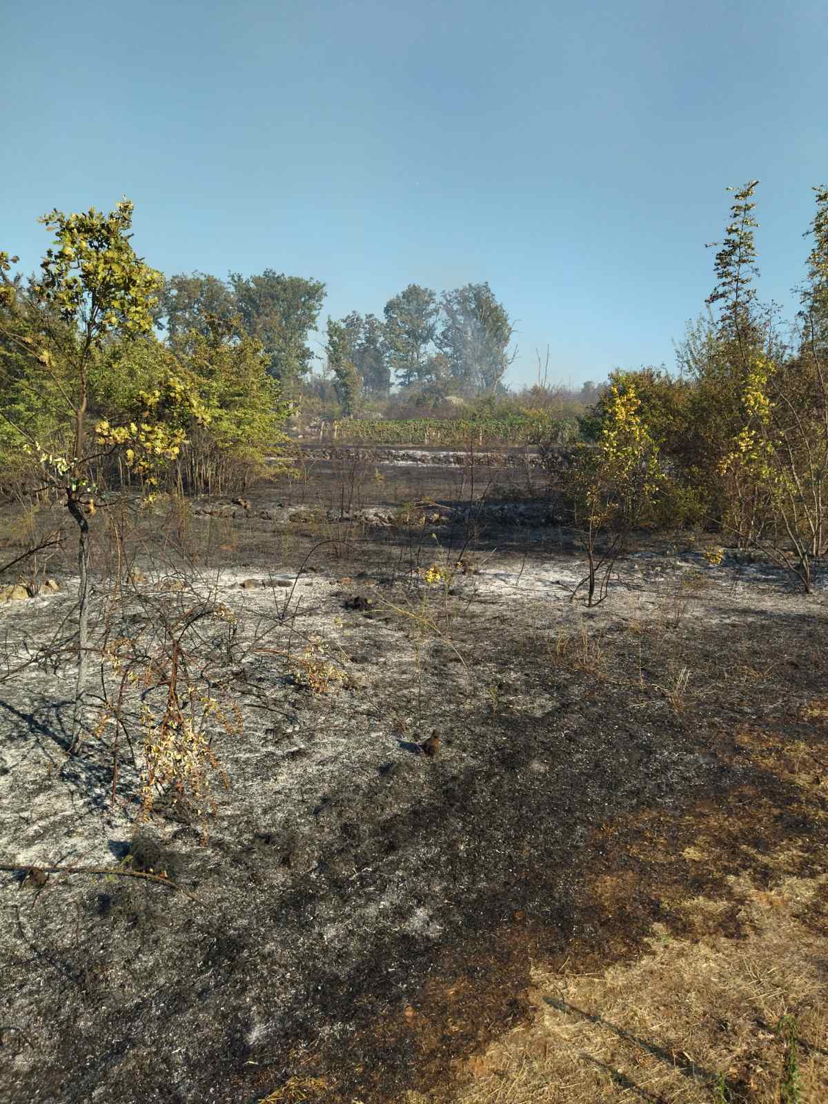 Požar u Blizancima i dalje aktivan