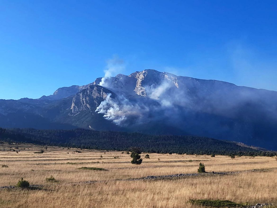 VIDEO Čvrsnica u plamenu: Vatrena stihija guta gustu borovu šumu