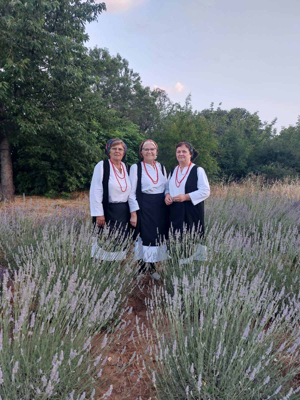 Uz aktivnu pripremu Međunarodne večeri folklora HKUD sv. Marko Vionica svakodnevno aktivan u brojnim projektima