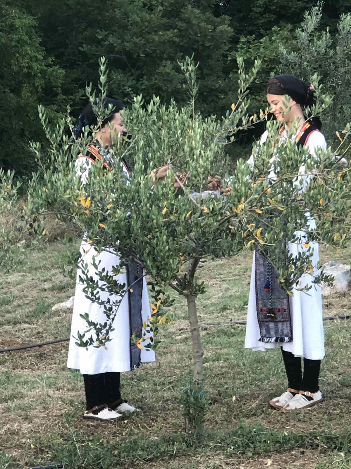 Uz aktivnu pripremu Međunarodne večeri folklora HKUD sv. Marko Vionica svakodnevno aktivan u brojnim projektima