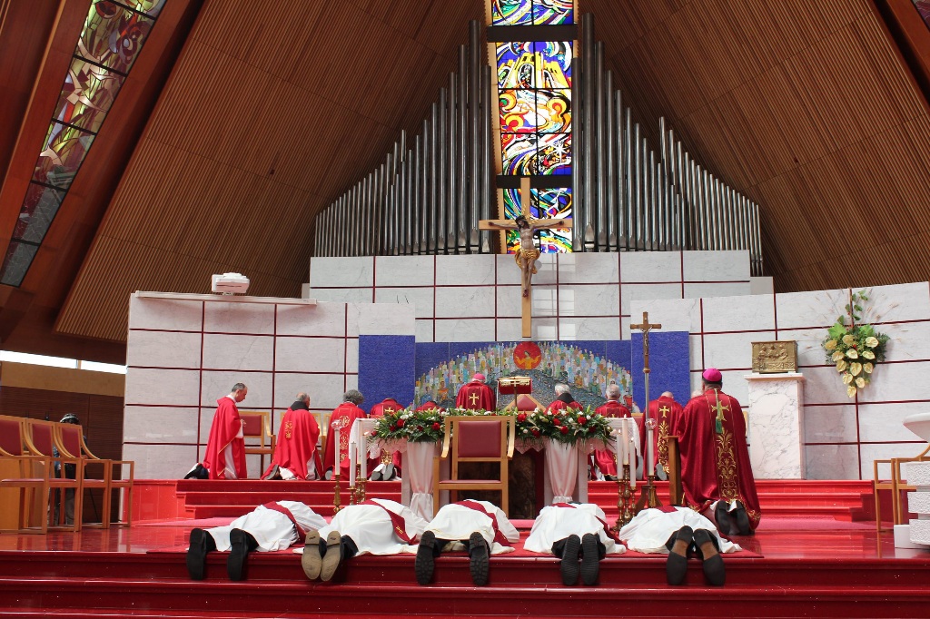 U četiri (nad)biskupije i dvije provincije djeluju 553 svećenika