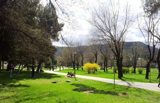 Objava na društvenim mrežama: Žena pokušala oteti dijete u Mostaru?