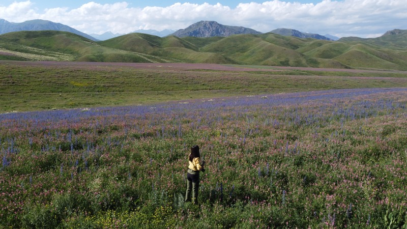Putopis Slobodana Tomića: Kirgistan – daleka zemlja neiskvarena turizmom