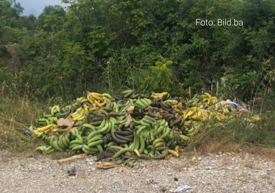 Pretovarili krive banane pa ostali bez kokaina?