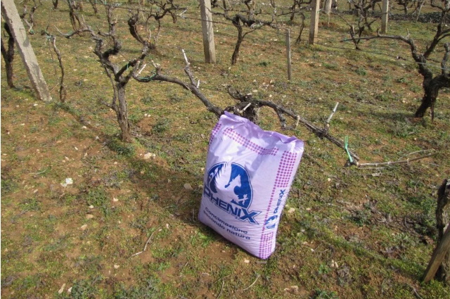 Vinograde i voćnjake obavezno pognojite u jesen