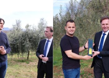 VIDEO: Ministar Hrnjić posjetio broćanske maslinare Iliju Miletića i Marina Primorca