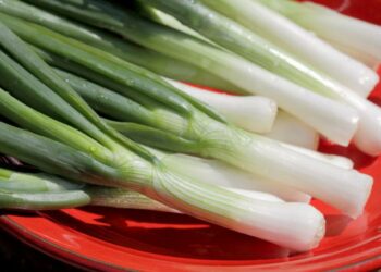 Mladi luk: Ovo su razlozi zašto ga trebamo češće jesti
