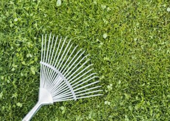 Počelo je proljetno uređenje travnjaka